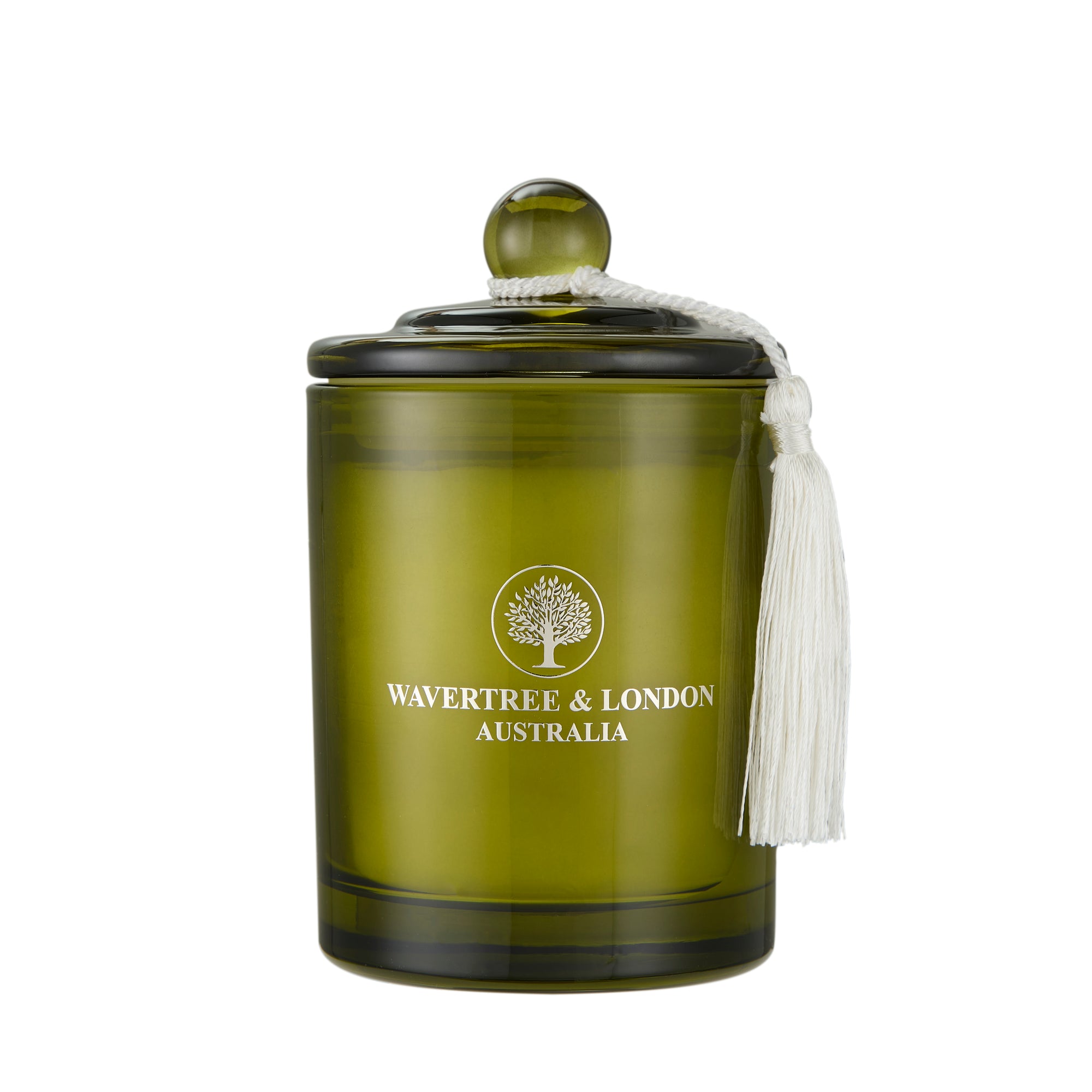 Winter Pine Candle x 6 Carton