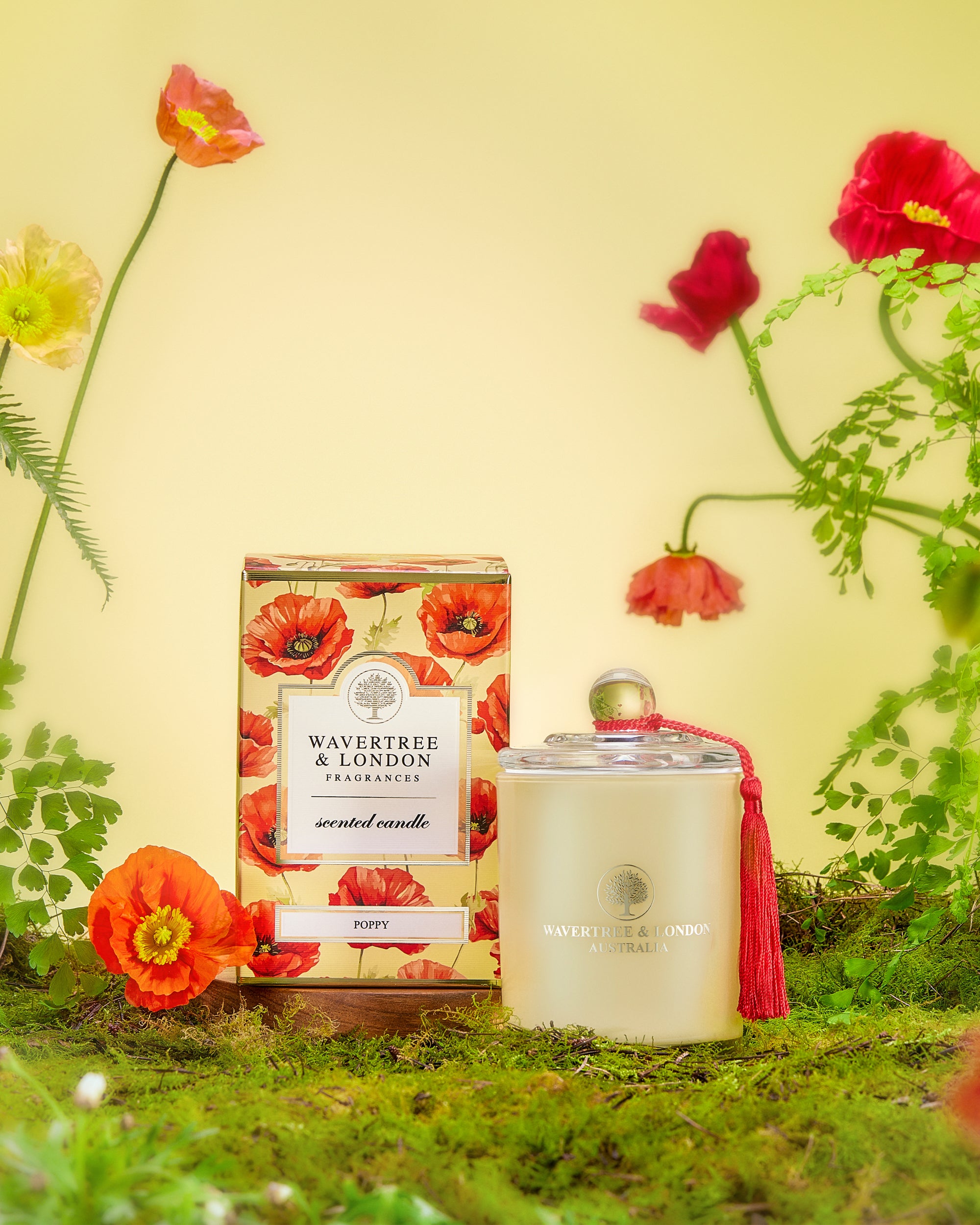 Poppy Candle