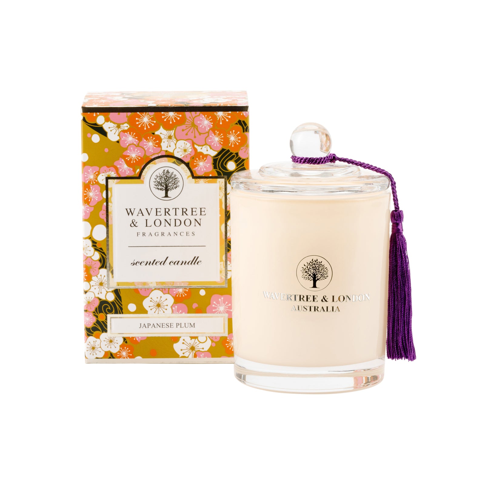 Japanese Plum 6 x Candle Carton