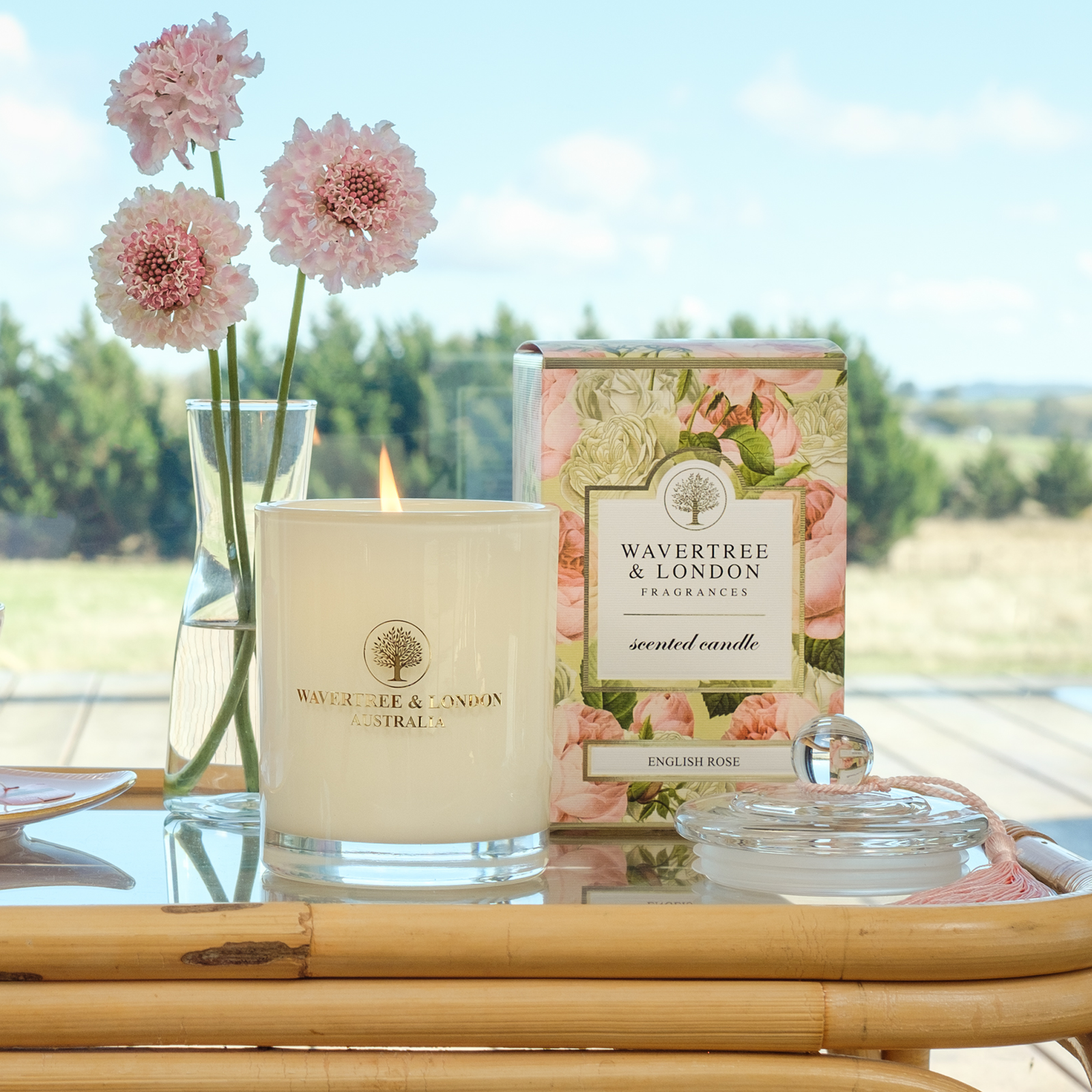 English Rose 6 x Candle Carton