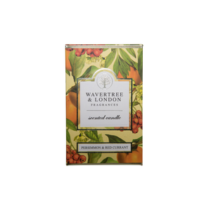 Persimmon & Red Currant 6 x Candle Carton