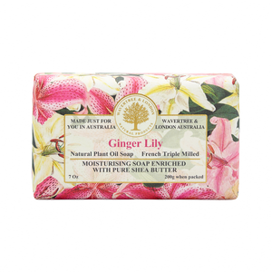 Gingerlily Soap Bar carton 8x200g